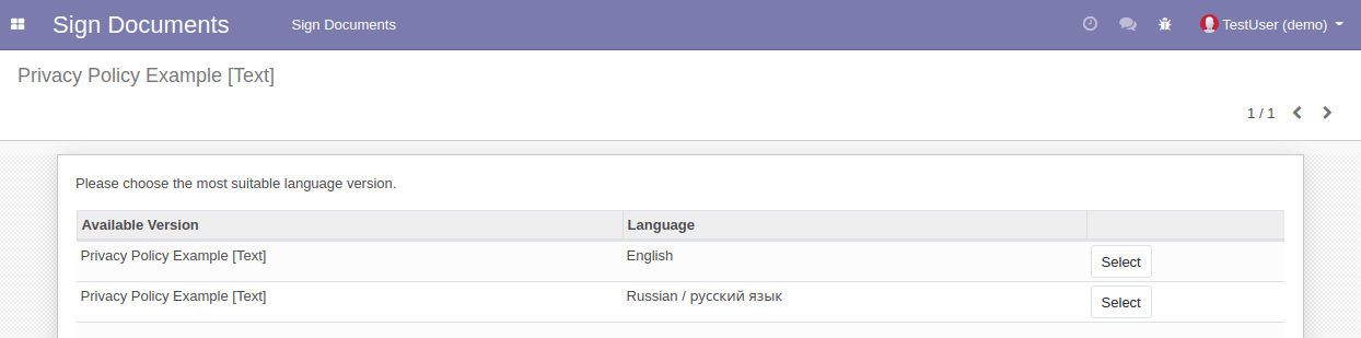 Document Language Versions