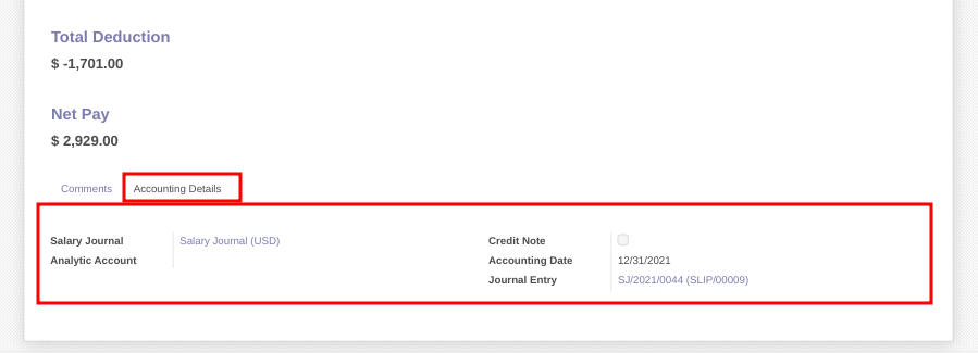 Accounting Details for Payslip