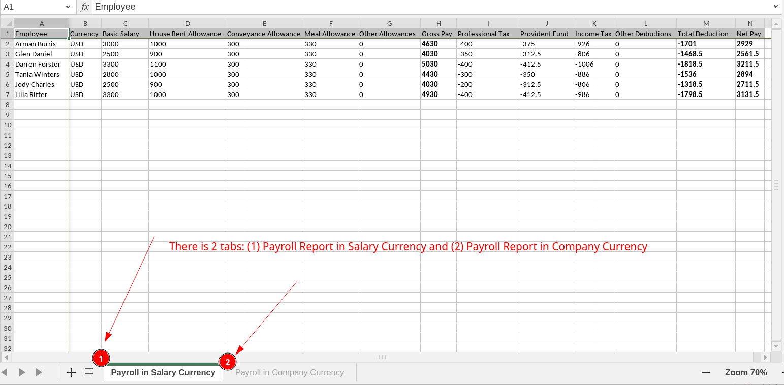 Payroll Report Excel XLSX