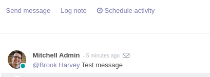 Project Task Message