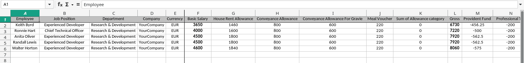 Payroll Report Excel XLSX