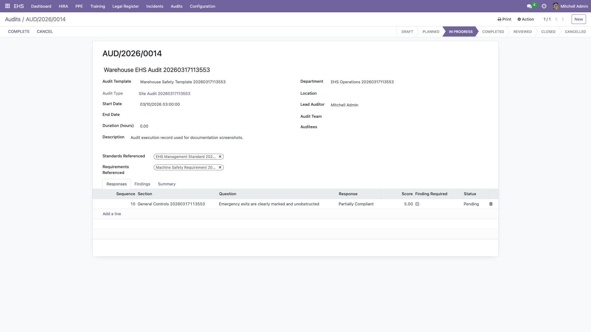 Audit execution form