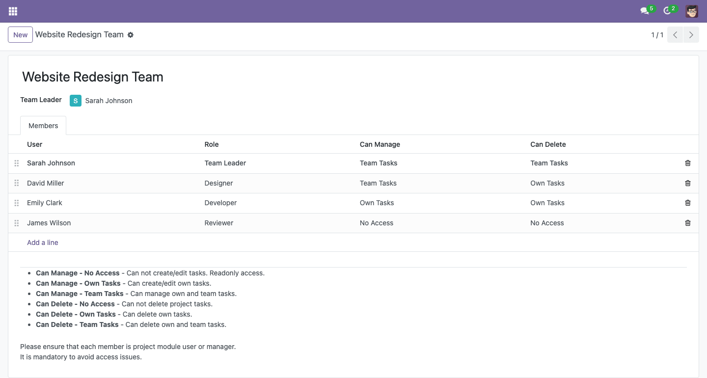 Project team form with members and access levels